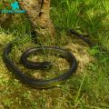 【Atoztide Store】Home False Snake Eyes Soft Fake Snake Horror Toy.