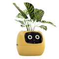 Ivy Smart Planter,USB Rechargeable Indoor Small Flower Pot White. 