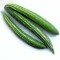 Organic Chichinga/Kushi Seeds -10 Pcs Seeds. 