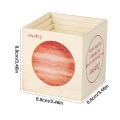 Life Cycle Toys Montessori Wooden Blocks Life Cycle Kit Toy Stacking Blocks Kids Figure Match Set Toy Stacking Block Sets.