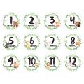 12 Pcs/Set Newborn Milestone Memorial Month Stickers Floral Baby Monthly Stickers Photography Commemorative Card.