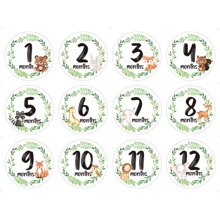12%20Pcs/Set%20Newborn%20Milestone%20Memorial%20Month%20Stickers%20Floral%20Baby%20Monthly%20Stickers%20Photography%20Commemorative%20Card%20-%20Image%203