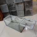 Rat / Mouse Catching Trap Cage (1 Piece) – Effective, Easy-to-Use, Reusable Rodent Trap for Small & Big Rats, Humane Mouse & Rat Catcher | Effective & Humane Rat / Mouse Trap Cage for Home or Office or Store Room Use | Say goodbye to unwanted Rat / Mouse.