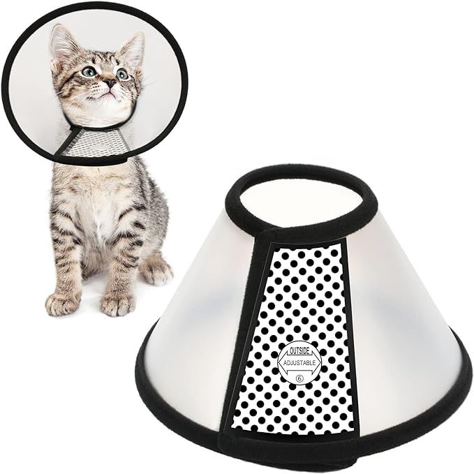 Best e collar for cats hotsell