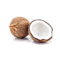 Whole Coconut - 1pcs. 