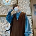Men Sweater Vest Oversized Sleeveless Knitted Tops Couple BF Vintage All-match Classic V-neck Autumn Loose Jumpers Male Handsome.