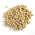 Soybean Seeds(Soybean dana) 500 gm. 