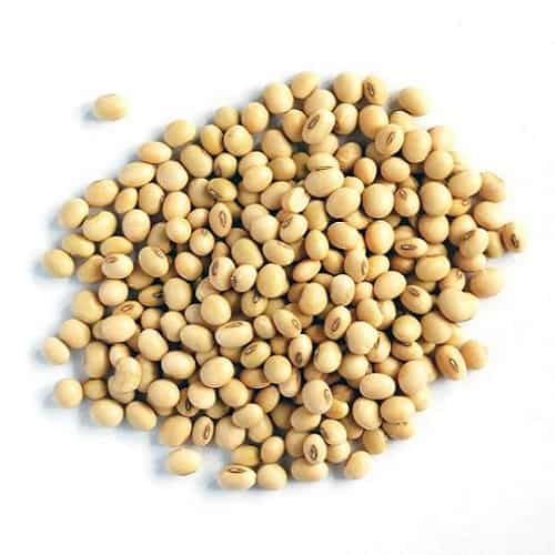 Soybean%20Seeds(Soybean%20dana)%20500%20gm%20-%20Image%205