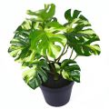 Tropical Artificial Party Decoration For Home Garden Decor Office Living Room Fake Plant Simulation Plants Turtle Leaves Green Plant.