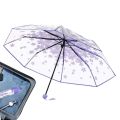 Transparent Folding Umbrella Cherry Blossom Sakura Rain Umbrellas High Transparency Rain Umbrellas For Women Adults Girls And. 