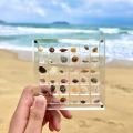 GC Magnetic Seashell Display Box Dustproof Stackable Transparent Acrylic Display Box Ornament Birthday Gifts For Men Women. 