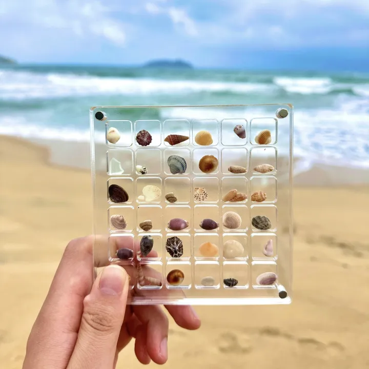GC%20Magnetic%20Seashell%20Display%20Box%20Dustproof%20Stackable%20Transparent%20Acrylic%20Display%20Box%20Ornament%20Birthday%20Gifts%20For%20Men%20Women%20-%20Image%207