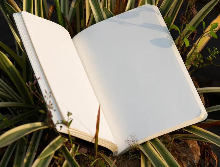 Daily%20Journal%20Orange%20Notebook%20with%20Elastic%20Band%20-%20Image%207