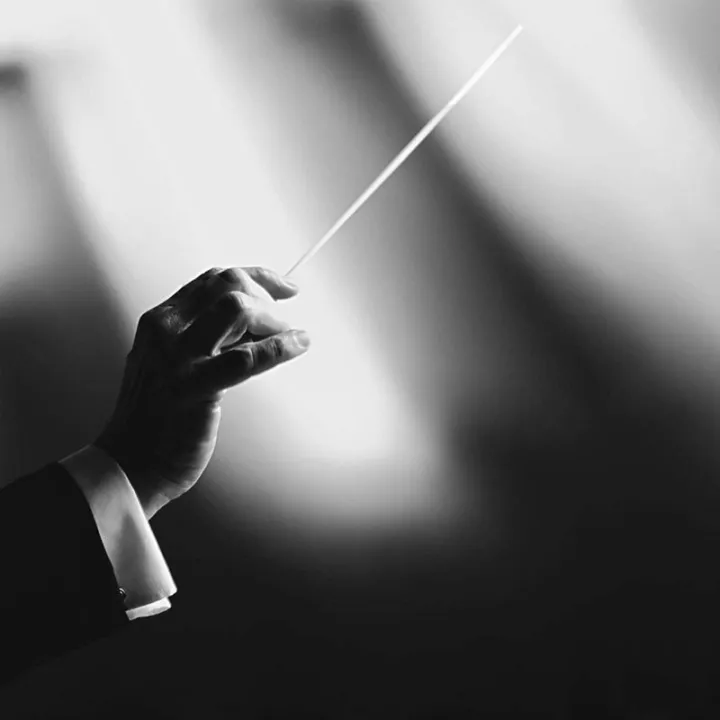 Music%20Conductor%20s,Imitation%20Agate%20Handle%20Orchestra%20Conducting%20%20Music%20s%20(Black)%20-%20Image%207