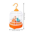 Original Rechargeable Talking and Singing Baby Birds Toys (Imported from China). 