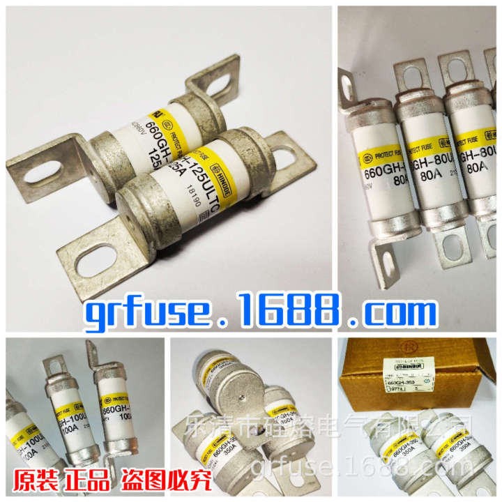Sunrise%20Management%20660GH-16ULTC%20Inverter%20Fuses%20Electric%20Vehicle%20Insurance%20-%20Image%204