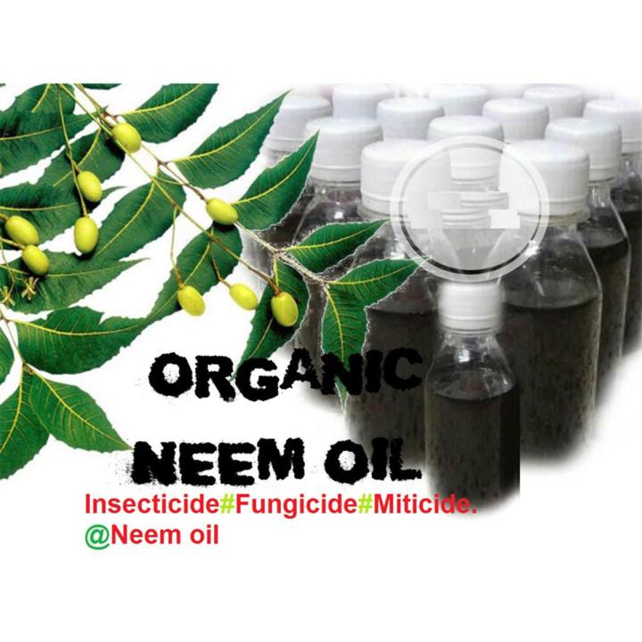 Neem Oil for Plant Pest Control - Organic Pesticide for Plants and Flowers use for Plants Insects pesticides 50ml Re-fill