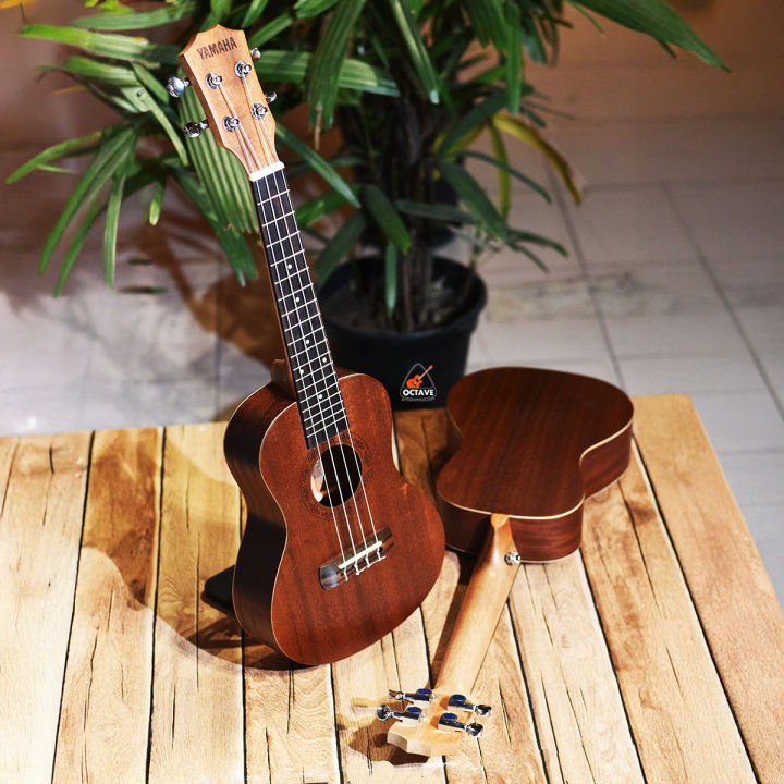 Yamaha%20Ukulele%2024%20Inc%20Concert%20Size%20With%20Bag%20And%20Picks%20-%20Image%203
