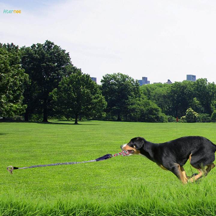 Outdoor Bungee Tug Toy Hanging Bungee for Aggressive Chewers Entertaining Gray