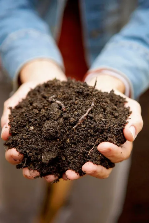 Premium%20Varmicompost%20Fertilizer%202%20KG%20(Natural%20Vermicompost)Garden%20Soil%20And%20Fertilizer%20-%20Image%202