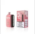 What is 2024 Vaapewpe Bang Box Pluse Full Screen 9000/18000 Puffs Disposable E Cegor ettes. 