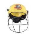 Cricket Helmet - multicolor. 