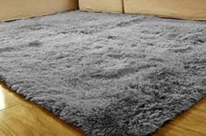 Living%20Room%20&%20Bedroom%20Floor%20Mats%20Hall%20Door%20Soft%20Non-slip%20paposh%20-%20Image%202