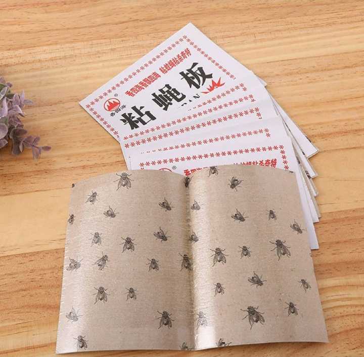 Fly Trap for Home Fly 3 Pcs
