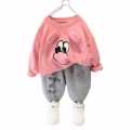 2 piece Sweatshirt and pants for Toddler Boy childrens  clothing Pink. 
