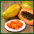 Yellow Gold Papaya Imported Global Seeds- 10 Pcs Seeds.