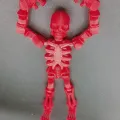 Poseable Skeleton Model Articulated Skeleton Action Figure 3d Printed Multi-jointed Movable Model for Desktop Decoration Kids Adults Gift Buyers' Choice Movable Joints Skeleton Toy. 