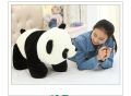 Panda Soft Toy Very Cute Panda Dolls for Kids - Toy - Toy.