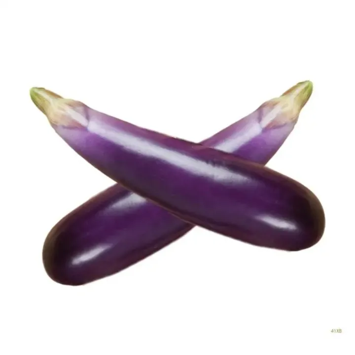 Kids%20Teaching%20Toy%20Foam%20Artificial%20Eggplants%20Soft%20Lifelike%20Simulation%20Eggplants%20Handicrafts%20Eggplants%20Model%20Window%20Display%20Props%20-%20Image%204