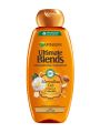 International Italian product hair care item Garnier shampoo used for male/ female - 400  ml. 