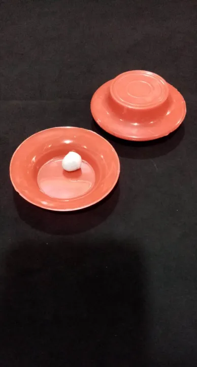magic%20duck%20from%20egg%20tric%20-%20Image%204
