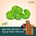 MAYA All Natural Scalp & Hair Oil 100ml.