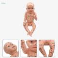 Infant Kid Acupuncture Point Massage Model Human Body Baby-sitter Nurse Tool. 