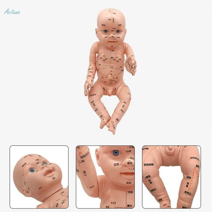 Infant%20Kid%20Acupuncture%20Point%20Massage%20Model%20Human%20Body%20Baby-sitter%20Nurse%20Tool%20-%20Image%203
