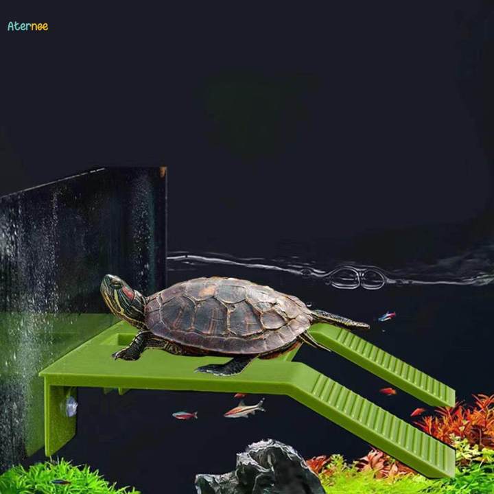 Turtle%20Resting%20Basking%20Platform%20Aquarium%20Animal%20Sink%20Wharf%20for%20Frog%20Salamanders%20Newts%20Green%20Small%20-%20Image%202