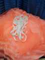 Standard Quality Brand View Angel Moshari Mosquito Net. 