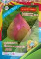 RED LOTUS FLOWER SEEDS,. 