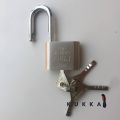 China Solite 50 mm Tala Steel Door Lock rust free for heavy duty security with 4 keys.