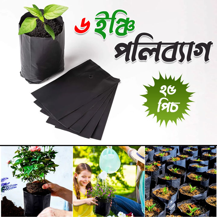 Nursery / Garden black poly Bag 6 inci 25 pic (with Holes & Folds)