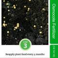 100g Osmocote Slow Release Fertilize For Orchids, Flowers, Plants, Vegetables, Potted plant, Bushes, Bonsai, Perennial Shrubs Inside and Outside Office Buildings or Home Garden  From Green Messenger ( 4 Different Ratio). 