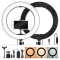 14-Inch Ring Light with Stand - Enhance Your Lighting Setup and Perfect Your Shots with Adjustable Brightness and Stability. 