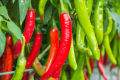 All Season Chili Seeds (20 seeds)মরিচের বীজ.