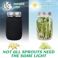 Seed Sprouting Jar Kit Sprout Maker Parts Sprout Maker with 2 Wide Mouth Mason Jars Bean Sprouts Growing Kit Growing Jar with Mesh Screen Lids. 