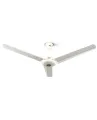 CLICK Crown Ceiling Fan 56" (Ivory) - 807047 | 7 Years Motor Warranty | Free Delivery. 