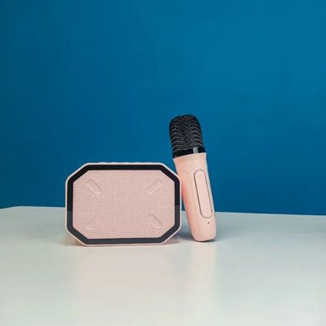 Portable%20Karaoke%20Speaker%20Kits%20-%20Image%204
