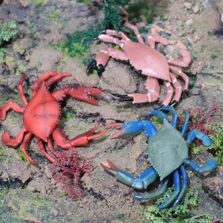 2022%20Ocean%20Simulation%20Crab%20Figurines%20Collection%20Sea%20Life%20Hermit%20Crab%20Lobster%20Stingray%20Model%20Action%20Figure%20Marine%20Animals%20Kid%20Toy%20-%20Image%202